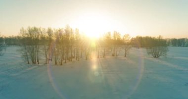 Arktik çayırlı soğuk kış manzarası, karla kaplı ağaçlar ve ufukta sabah güneşleri. Aşırı hava.