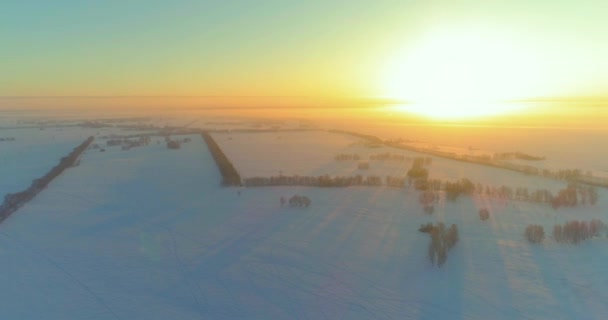 Drohnenaufnahme Der Kalten Winterlandschaft Mit Arktischem Feld Bäumen Die Mit — Stockvideo