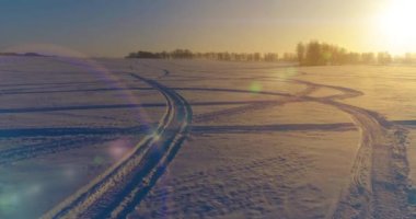 Arktik çayırlı soğuk kış manzarası, karla kaplı ağaçlar ve ufukta sabah güneşleri. Aşırı hava.