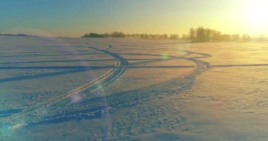 Arktik çayırlı soğuk kış manzarası, karla kaplı ağaçlar ve ufukta sabah güneşleri. Aşırı hava.