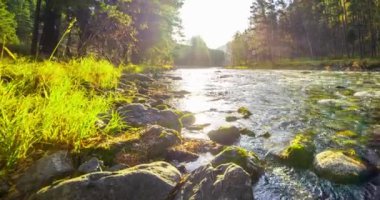 4K dağ nehri zaman dilimi yaz ya da sonbahar zamanı. Vahşi doğa, berrak su ve her zaman yeşil olan kırsal vadi. Güneş ışınları, küçük dere ve sarı otlar. Motorlu doli kaydırma hareketi