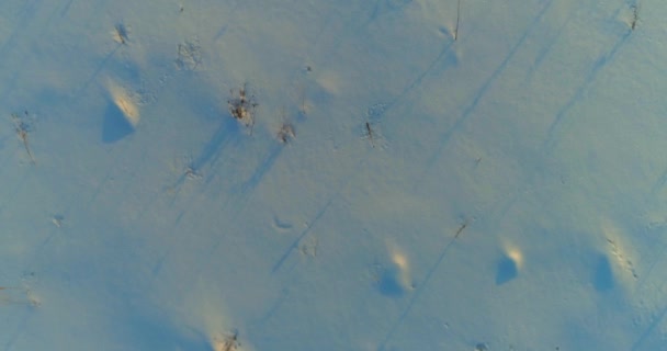 Vista Aérea Drone Paisagem Fria Inverno Com Campo Ártico Árvores — Vídeo de Stock