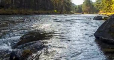 4K UHD dağ nehri zaman dilimi yaz ya da sonbahar saatlerinde. Vahşi doğa, berrak su ve her zaman yeşil olan kırsal vadi. Güneş ışınları, küçük dere ve sarı otlar. Motorlu doli kaydırma hareketi