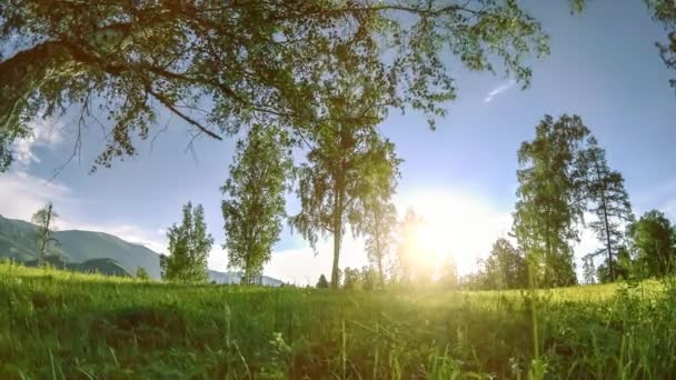 Caducidad Del Prado Montaña Verano Otoño Naturaleza Salvaje Campo Rural — Vídeo de stock