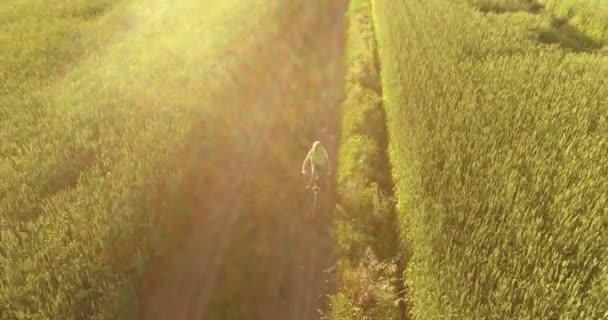 Vista Aérea Sobre Niño Que Monta Bicicleta Través Campo Hierba — Vídeo de stock