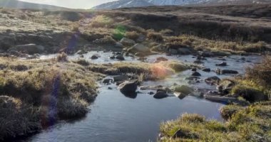 4K UHD dağ çayırı zaman dilimi yaz ya da sonbahar zamanı. Vahşi doğa ve kırsal vadi. Güneş ışınları, küçük dere ve sarı otlar. Motorlu doli kaydırma hareketi