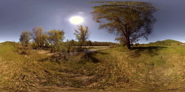 360 Virtual Reality Flod Rinner Över Stenar Denna Vackra Scen — Stockvideo