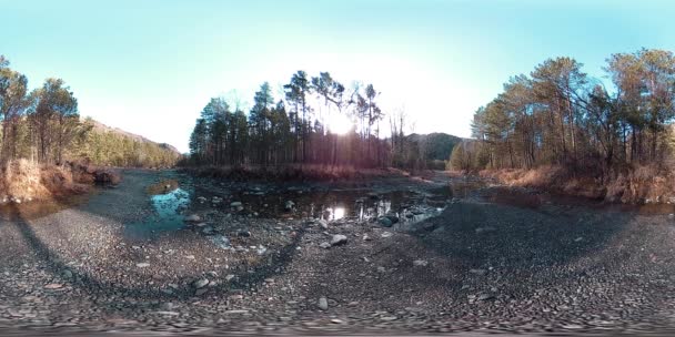 4K360 Vr虚拟现实一个美丽的山景在初秋或夏季的时候 野生山脉 松林和河流流淌 国家公园 草地和阳光 — 图库视频影像