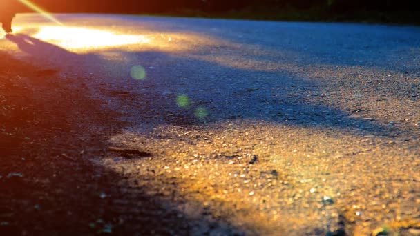 Fhd Sport Man Running New Asphalt Road Outdoor Sunrise Sunset — Stock Video