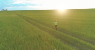 Sportif bir çocuğun havadan çekimleri buğday tarlasından geçiyor. Kırsal çayırlarda akşam sporu alıştırmaları. Mutlu bir çocukluk sağlıklı bir yaşam biçimidir. Açık havada koşma transferi. Radikal hareket, güneş