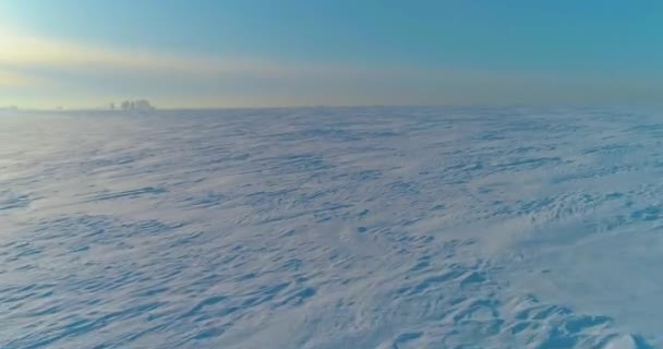 无人机俯瞰着寒冷的冬季风景北极田野 覆盖着霜雪 冰河和地平线上的太阳光的树木 极端低温天气 — 图库视频影像