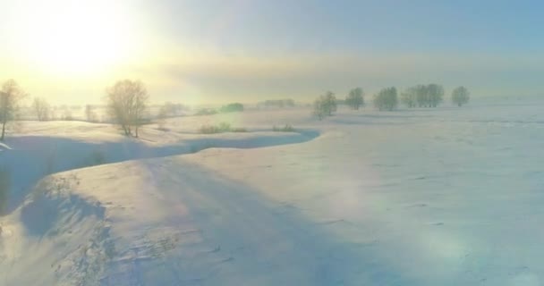 Letecký Pohled Studenou Zimní Krajinu Arktického Pole Stromy Pokryté Mrazivým — Stock video