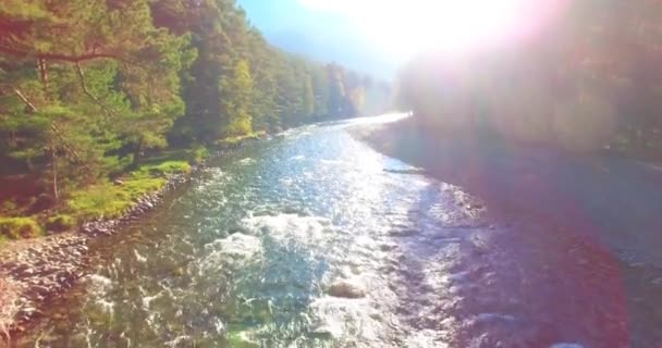 Sudut Pandang Udara Penerbangan Ketinggian Rendah Atas Sungai Pegunungan Cepat — Stok Video