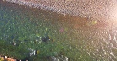 4K hava bakış açısı. Güneşli yaz sabahında, taze, hızlı dağ nehri üzerinde kayalıklarla alçak irtifa uçuşu. Yeşil çam ağaçları ve güneş ışınları. Saf soğuk su akıntısı.