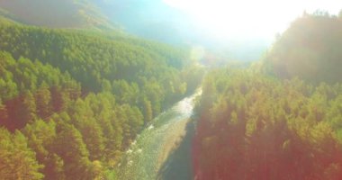 4K hava bakış açısı. Güneşli yaz sabahında, taze, hızlı dağ nehri üzerinde kayalıklarla alçak irtifa uçuşu. Yeşil çam ağaçları ve güneş ışınları. Saf soğuk su akıntısı.