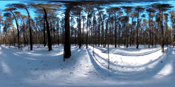 360 Bellissimo Paesaggio Innevato Nella Natura Selvaggia Siberiana Durante Inverno — Video Stock