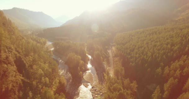 Aerial Point View Low Altitude Flight Fresh Fast Mountain River — Stock Video