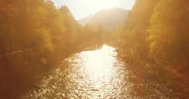 Point Vue Aérien Vol Basse Altitude Dessus Une Rivière Montagne — Video