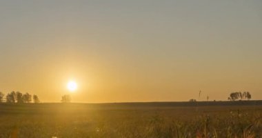 4K UHD düz tepe çayır zamanı yaz veya sonbahar günbatımında. Vahşi doğa ve kırsal çimler. Güneş ışınları ve yeşil ağaçlar. Motorlu doli kaydırıcı