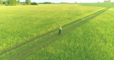 Yeşil buğday tarlasında elleri havada duran sportif çocuğun havadan çekimi. Kırsal çayırlarda akşam sporu alıştırmaları. Mutlu bir çocukluk sağlıklı bir yaşam biçimidir. Radyal panorama hareketi