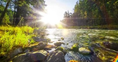 4K dağ nehri zaman dilimi yaz ya da sonbahar zamanı. Vahşi doğa, berrak su ve her zaman yeşil olan kırsal vadi. Güneş ışınları, küçük dere ve sarı otlar. Motorlu doli kaydırma hareketi
