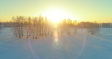 Arktik çayırlı soğuk kış manzarası, karla kaplı ağaçlar ve ufukta sabah güneşleri. Aşırı hava.
