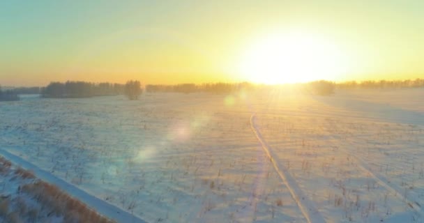 空中无人俯瞰寒冷的冬季风景 有北极的田野 被霜雪覆盖的树木和地平线上的晨光 极端天气 — 图库视频影像