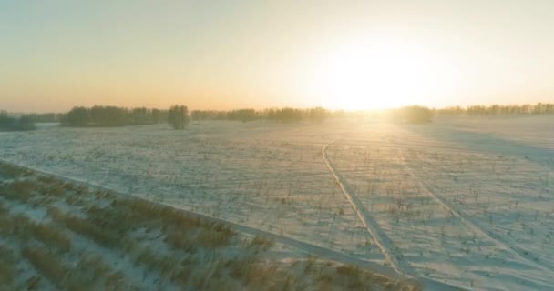 Aerial Drone Kilátás Hideg Téli Táj Sarkvidéki Területen Fák Borított — Stock videók