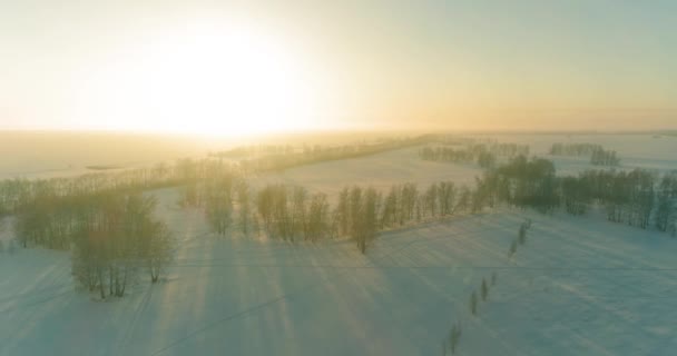 Vista Aérea Drone Paisagem Fria Inverno Com Campo Ártico Árvores — Vídeo de Stock