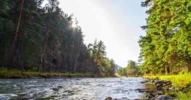 4K dağ nehri zaman dilimi yaz ya da sonbahar zamanı. Vahşi doğa, berrak su ve her zaman yeşil olan kırsal vadi. Güneş ışınları, küçük dere ve sarı otlar. Motorlu doli kaydırma hareketi