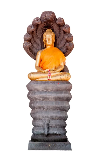Άγαλμα του Βούδα στο naga που καλύπτονται — Φωτογραφία Αρχείου