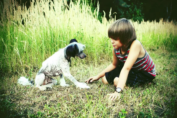 Portrait of a boy — Stock Photo, Image