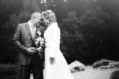 Çift, karı ve koca, düğün portre