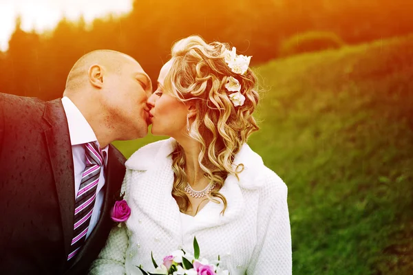 Portrait of a couple, husband and wife, wedding — Stock Photo, Image