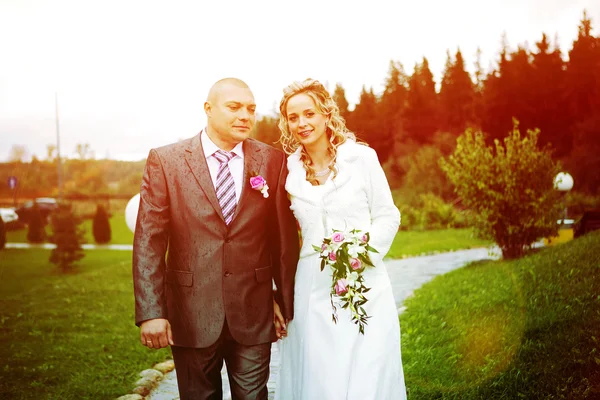 A házaspár, a férj és a feleség, esküvői portré — Stock Fotó