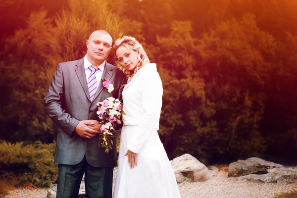 Retrato de um casal, marido e mulher, casamento — Fotografia de Stock