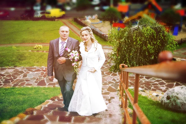 Portrait of a couple, husband and wife, wedding — Stock Photo, Image