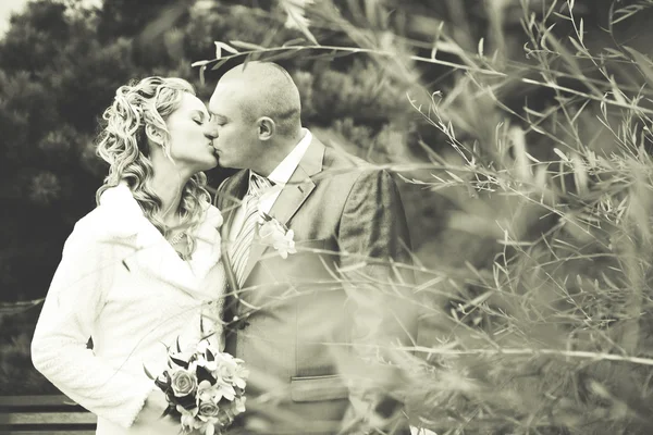 Retrato de una pareja, marido y mujer, boda — Foto de Stock