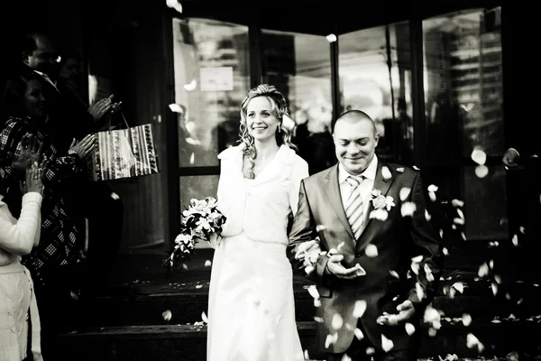 Retrato de una pareja, marido y mujer, boda —  Fotos de Stock