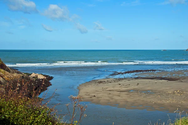 Parogg plaży newport pembrokeshire — Zdjęcie stockowe