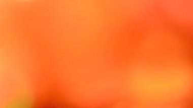 Abstract glowing multi color texture