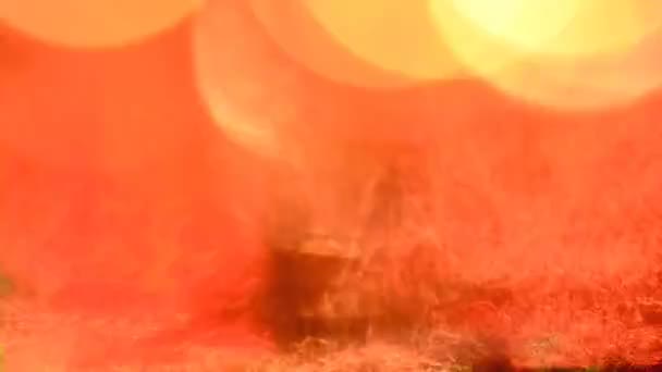 抽象的な熱烈なマルチ カラー テクスチャ — ストック動画