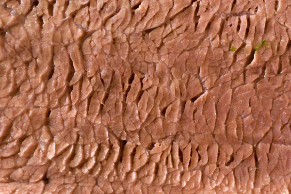 Textura de carne — Foto de Stock