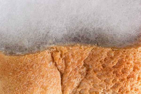 Beschimmelde brood — Stockfoto