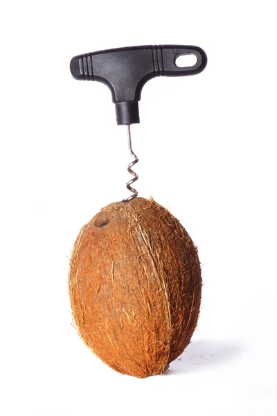 Coconut — Stock Photo, Image