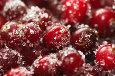 donmuş yabanmersini