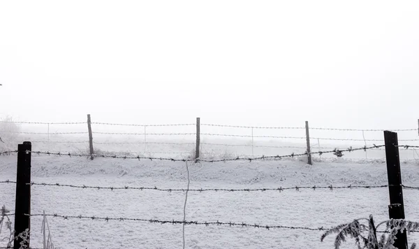 Valla de púas wier en día brumoso invierno —  Fotos de Stock