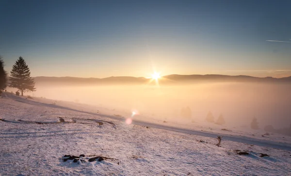 Niebla invierno puesta de sol —  Fotos de Stock