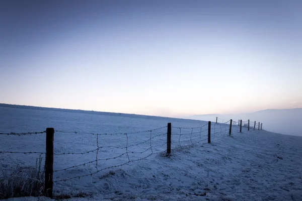 Zachód słońca z drutem kolczastym na mroźne zimowe wieczory — Zdjęcie stockowe