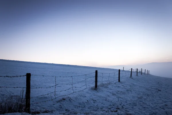 Sunset with barbed wires on frosty winter day — Stock Photo, Image